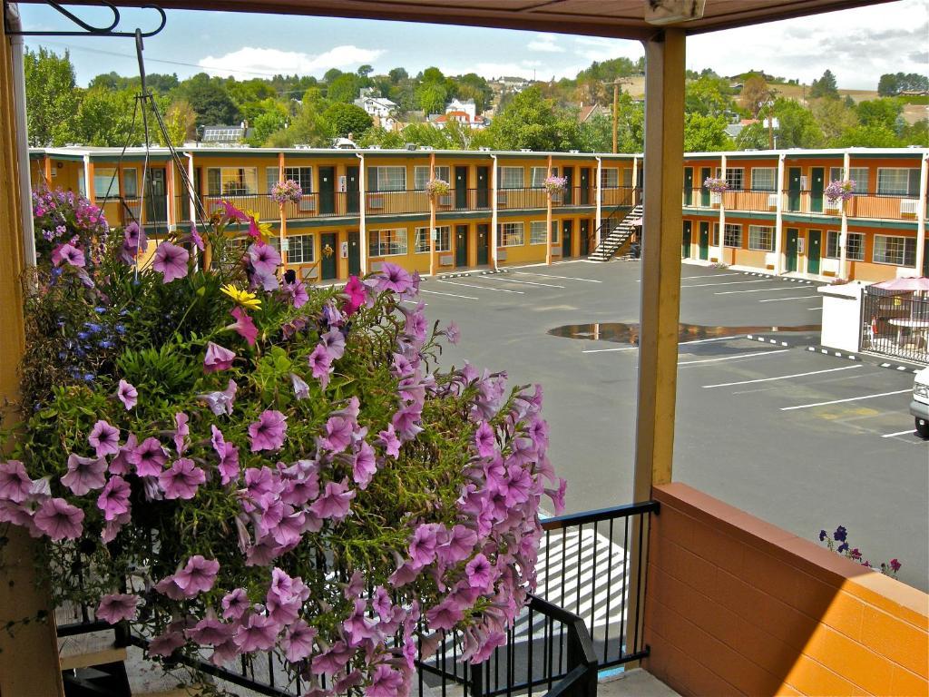 Americas Best Value Inn - Пендълтън Екстериор снимка
